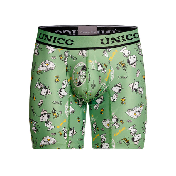 BOXER MEDIO EXPLORER VERDE