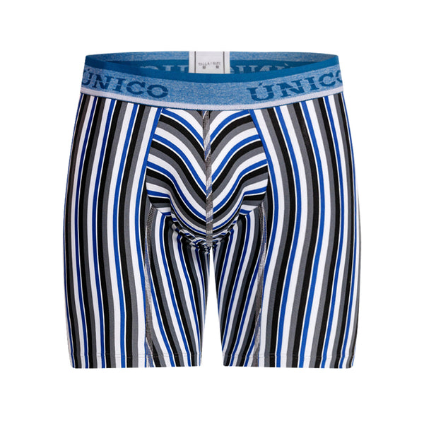 BOXER MEDIO FILOTAXIA GRIS